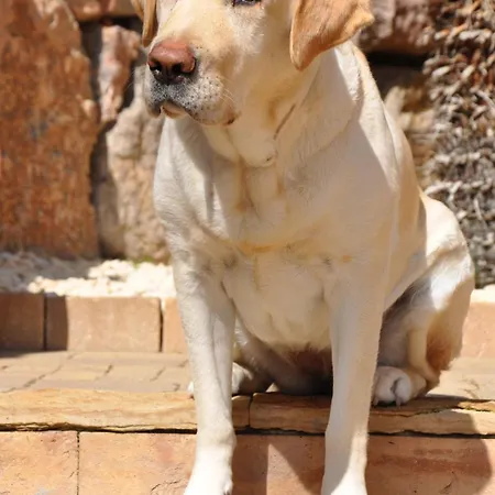 Apartamento Ada Blanes